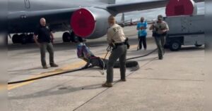 Florida Authorities Wrangle Alligator at MacDill Air Force Base (VIDEO)