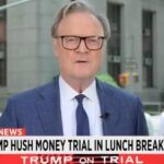 MSNBC Defends Michael Cohen Stealing $30,000 From Trump Org. (VIDEO)
