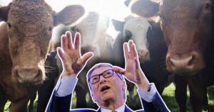 Bill Gates Wants a Vaccine to Stop Cow Farts, Save Planet From So-Called Climate Change