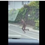 California Lunacy: Naked Man Streaks Across Traffic and Gets Smacked by Car (VIDEO)