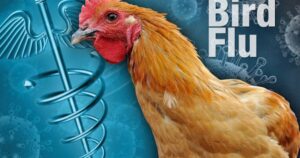 Here We Go: WHO Warns of New Bird Flu Strain Jumping to Humans Following Death of 59-Year-Old Man in Mexico