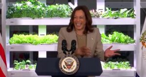 VP for Fraternal Order of Police Warns Kamala Harris Would Be “An Unmitigated Disaster for Public Safety in This Country” If She Beomces President (Watch)